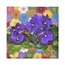African violet fridge magnets