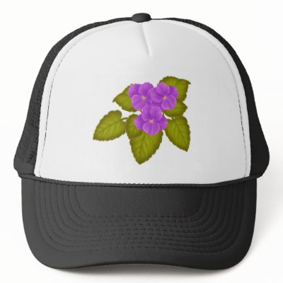 African Violet Plant by twopurringcats