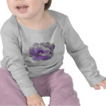 African Violet Purple