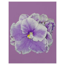 African Violet Purple