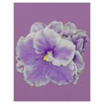 African Violet Purple flyers