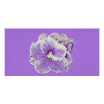 African Violet Purple photo cards