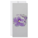 African Violet Purple rack cards