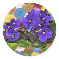 African violet stickers