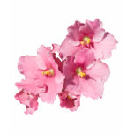 African Violet t-shirts