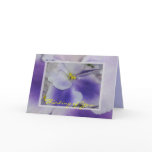 African Violets Card