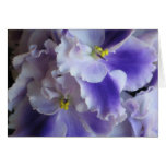 African Violets Card