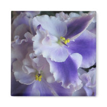 African Violets Refrigerator Magnets