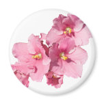 African Violets Magnet