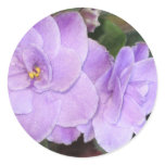 African Violets Round Stickers