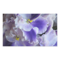 African Violets Sticker