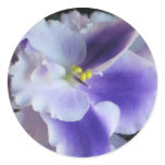 African Violets Sticker