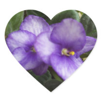 African Violets Sticker