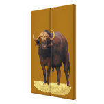 African Water Buffalo Gallery Wrap Canvas