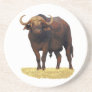 African Water Buffalo Coaster