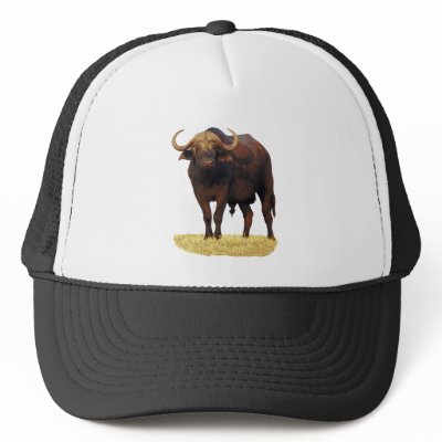 African Water Buffalo Hats by DODGERFL