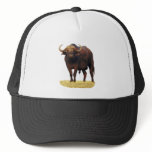 African Water Buffalo hats