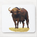 African Water Buffalo mousepads