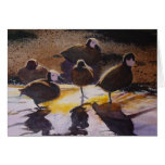 African Waterfowl Cards