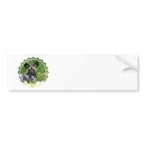 African Wild Dog Bumper Stickers