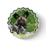 African Wild Dog Button