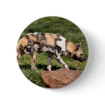 African Wild Dog Button