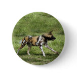 African Wild Dog Button