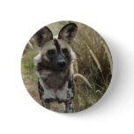 African Wild Dog Buttons