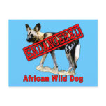 African Wild Dog Endangered Animal Products Postcard