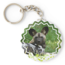 African Wild Dog Keychain