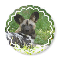 African Wild Dog Magnet