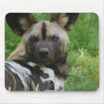 African Wild Dog Mouse Pad