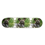 African Wild Dog  Skateboard