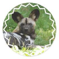 African Wild Dog Stickers