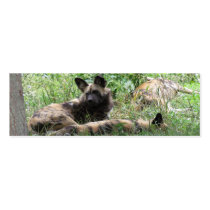 African Wild Dogs Bookmark Business Card Template