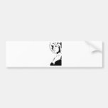 Afro 2 bumper sticker