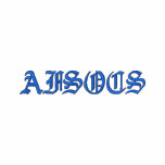 AFSOCS Embroidered T-Shirt
