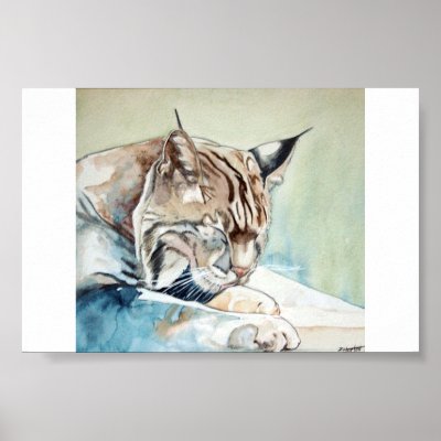 AFter Dinner Washup - Bobcat Print by zipora