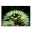 After the rain cards
