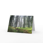 After the Rain • Greeting Card