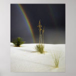 After the Rain Print