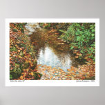 After The Rains #1 Print