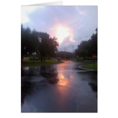 After the Storm Cards by DolphinGirl6