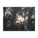 After the Storm - Postcard #2