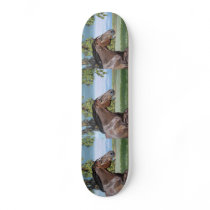 After the Storm Custom Skateboard