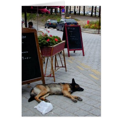 Afternoon Nap Card by DesignerGal