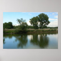 Afternoon Reflections Poster