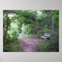 Afternoon shade in the forest posters