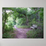 Afternoon shade in the forest posters