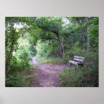 Afternoon shade in the forest posters